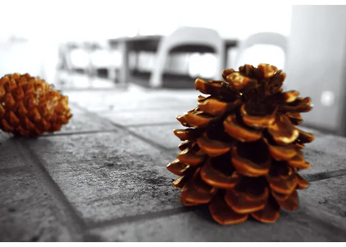 Pause Nature Saint-Hubert